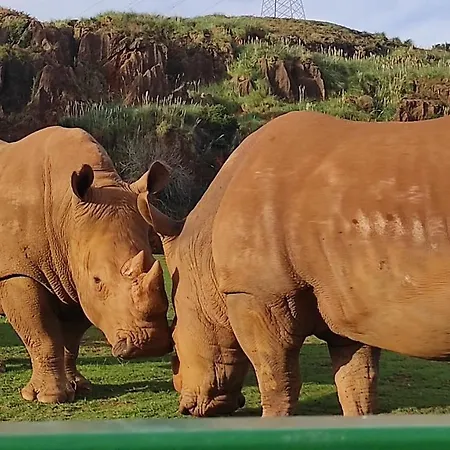 בית נופש Casa Rio *