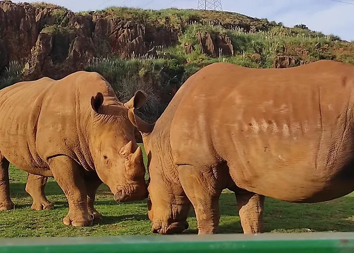 Holiday home Casa Rio *